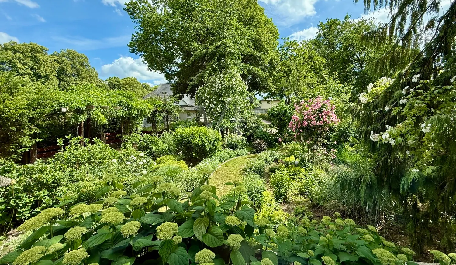 Blick in den Vorgarten