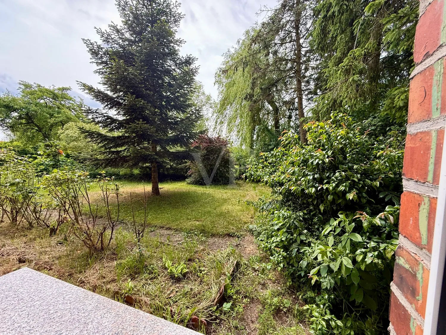 Blick in den Vorgarten