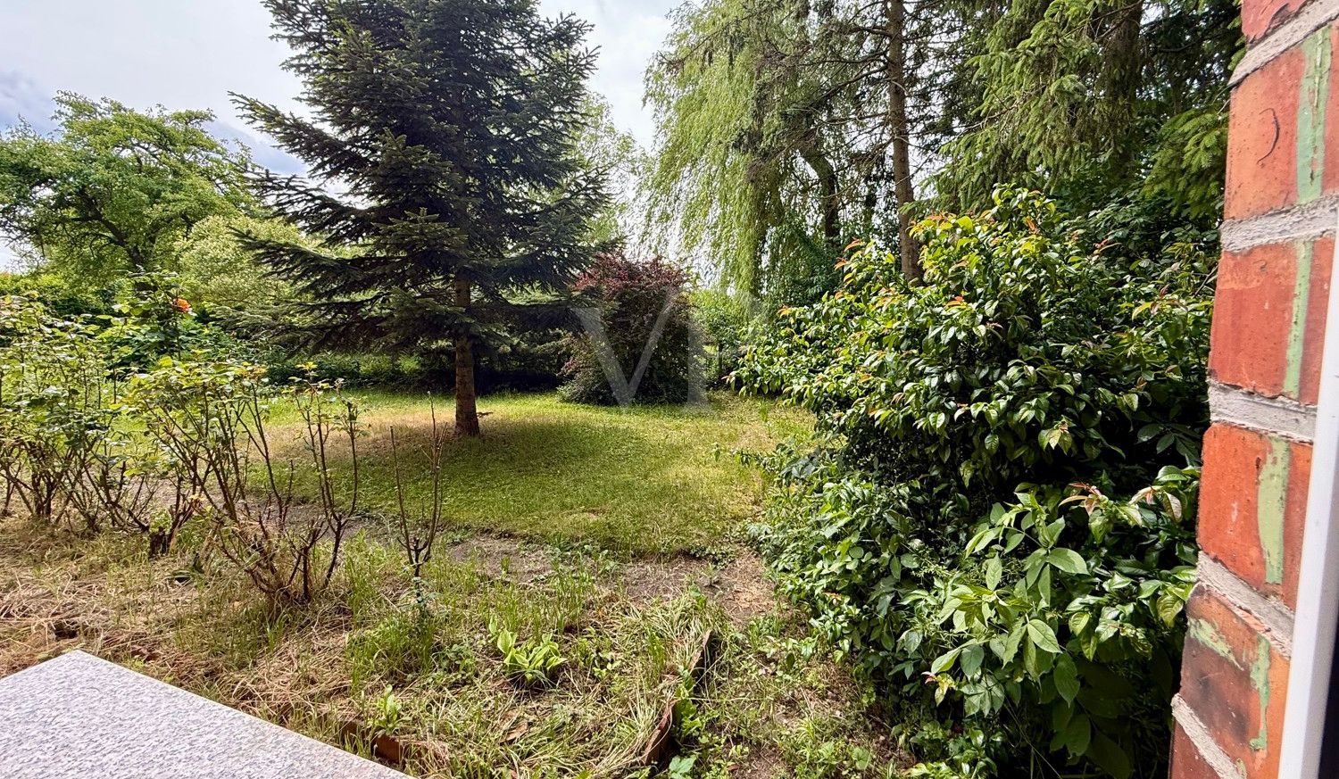 Blick in den Vorgarten
