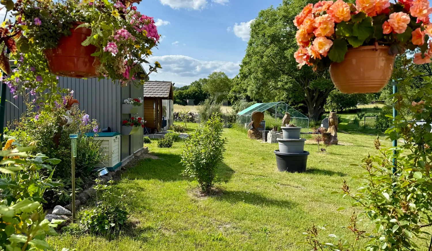 Blick von der Terrasse