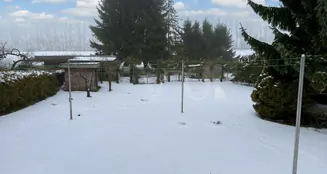 von_poll_real_estate_property_26411008_image_22