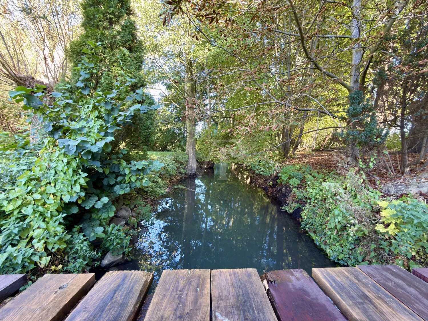 Die Peene hinter dem Grundstück