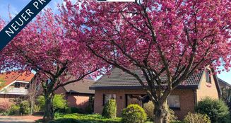 von_poll_real_estate_property_25242001_image_0