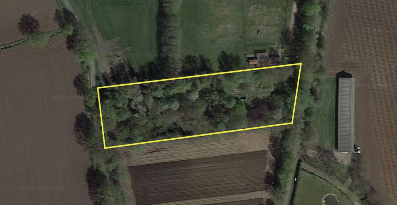 Titelbild mit VP Logo