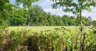von_poll_real_estate_property_25242032_image_24