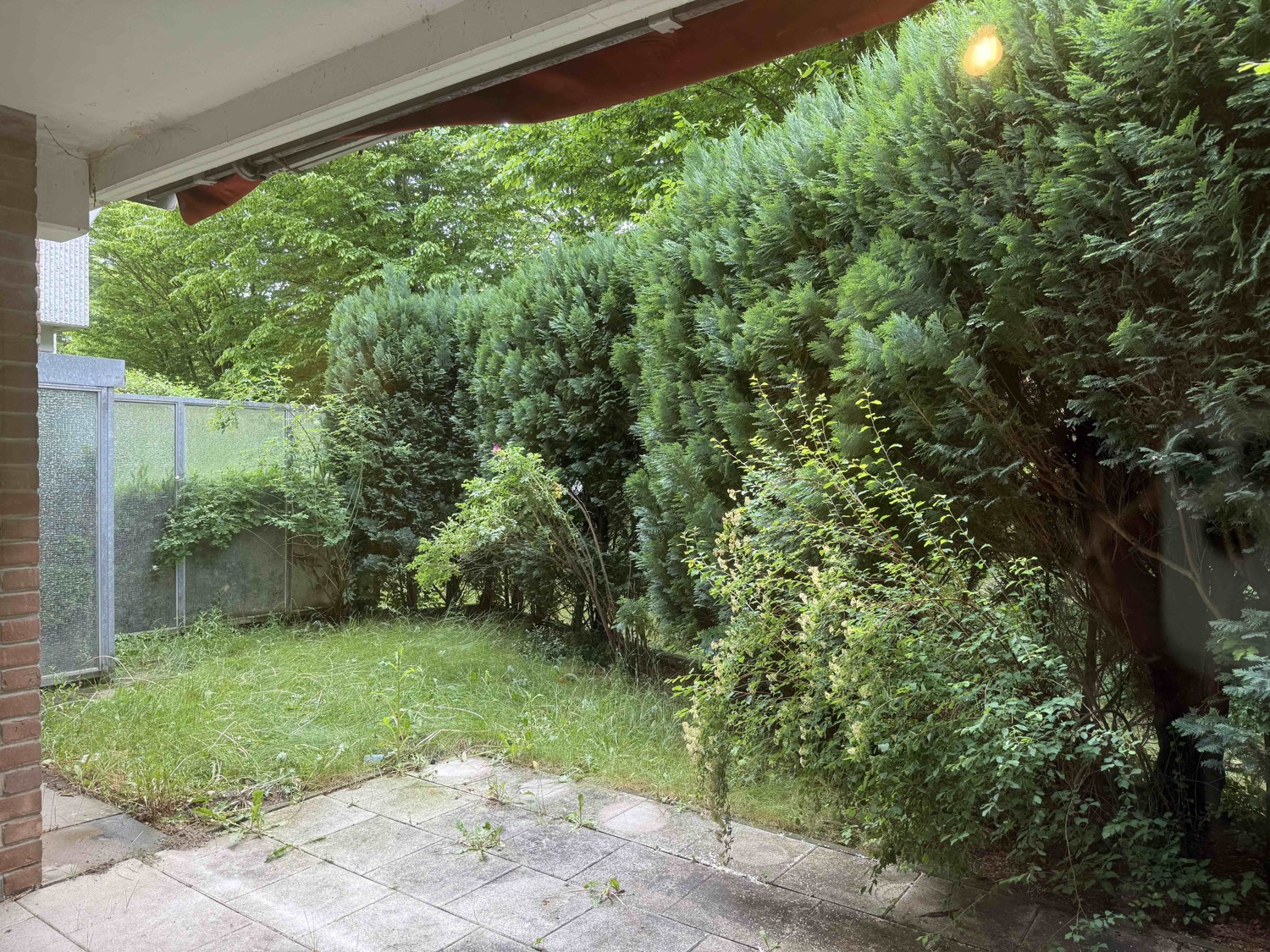 Gartenfläche mit Gestaltungspotenzial