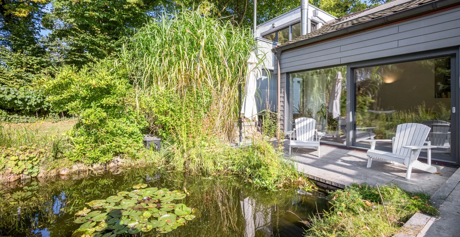 Gartenteich mit Koi-Karpfen