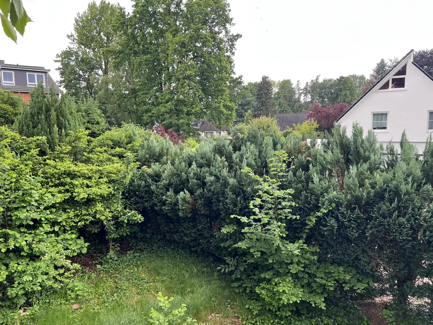 Blick aus dem Zimmer OG