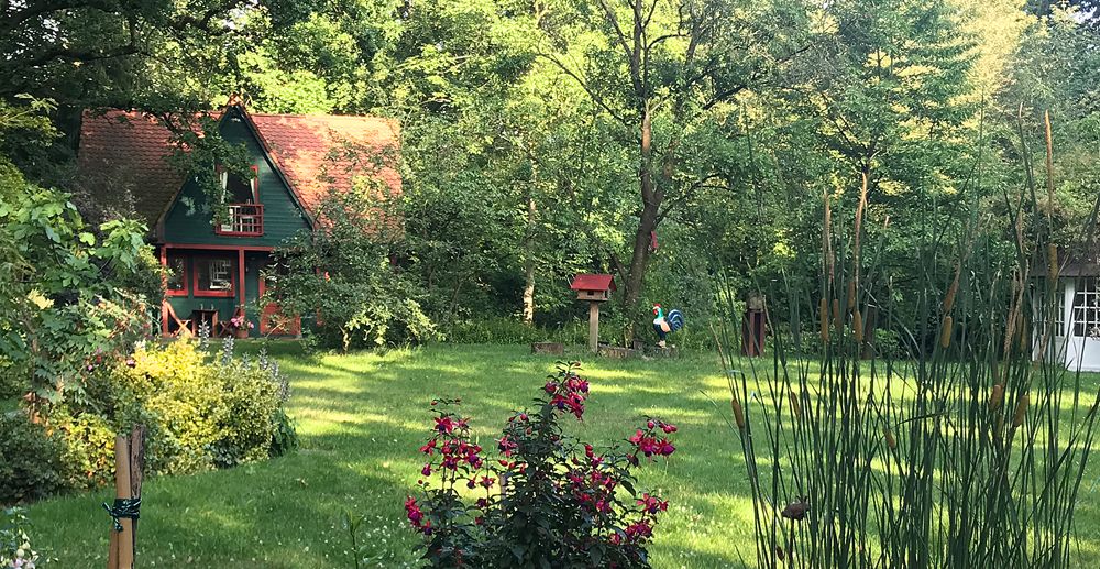 Aussicht zum Garten