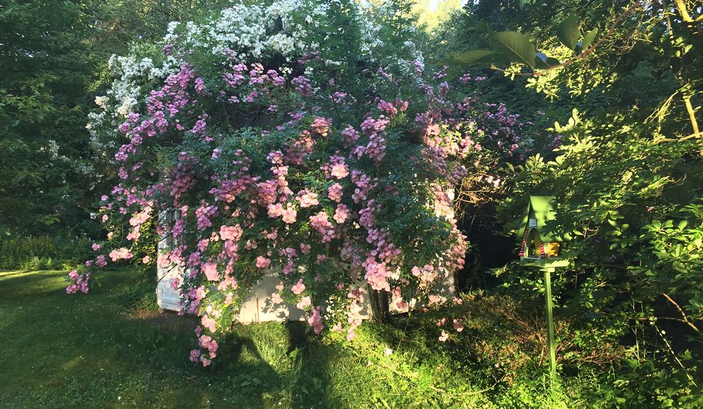 Garten