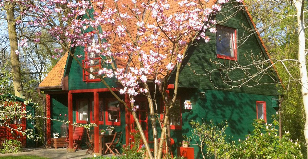 Garten im Frühjahr