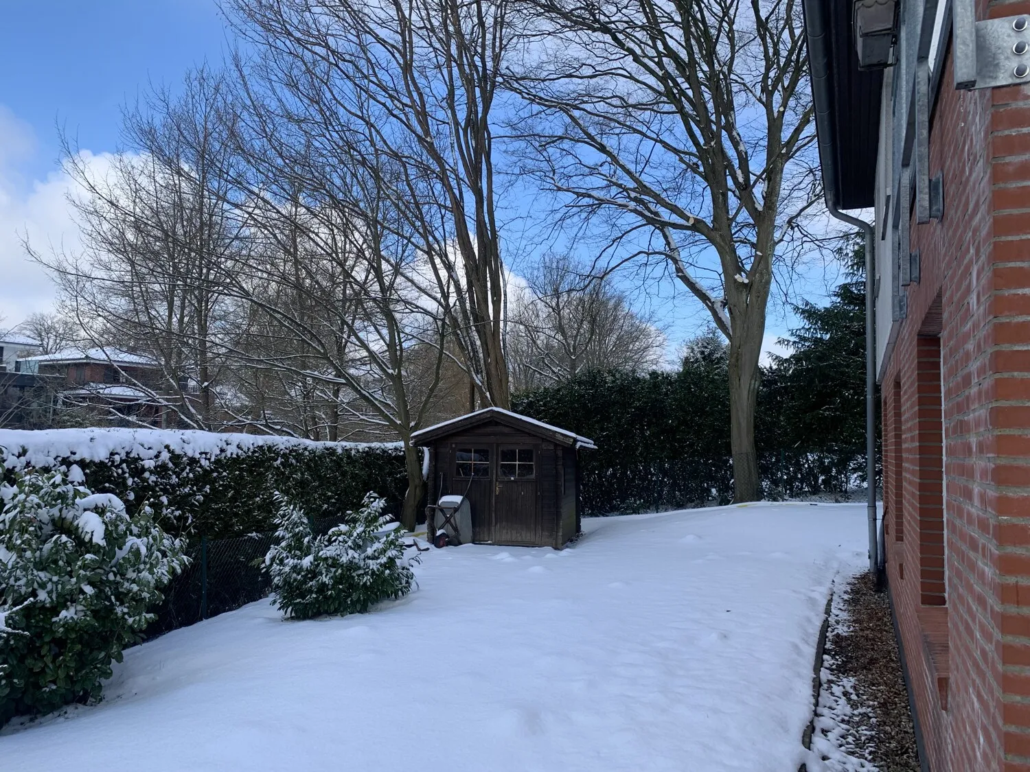 Rückseite