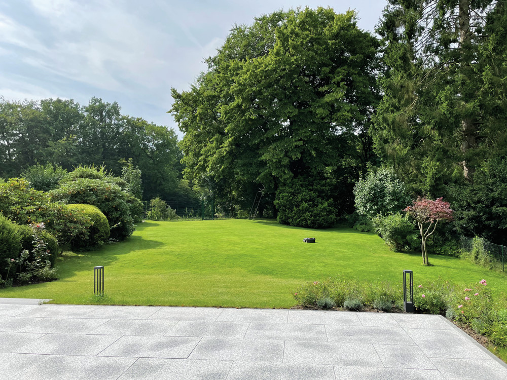 Blick in den Garten mit Parkcharakter