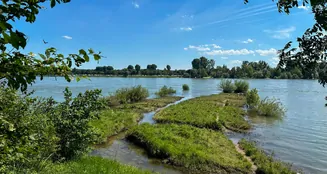 von_poll_real_estate_property_25390021_image_19