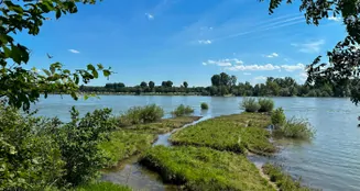 von_poll_real_estate_property_25390021_image_19