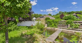 von_poll_real_estate_property_25390016_image_27