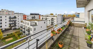 von_poll_real_estate_property_25390039_image_8