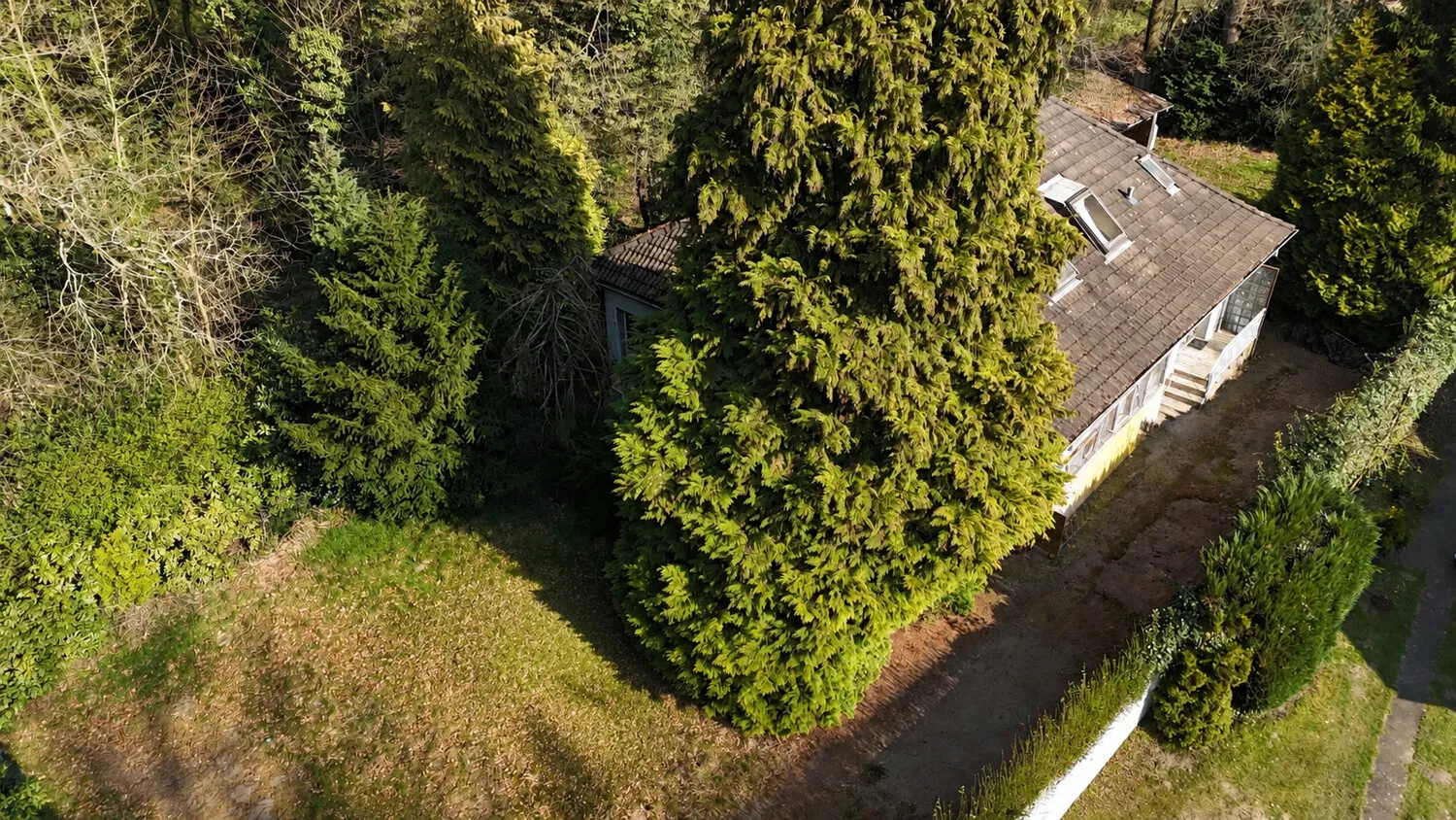 Flugbild