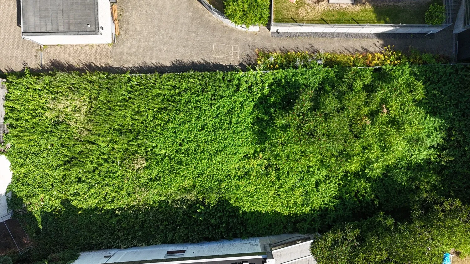 Ansicht von Oben