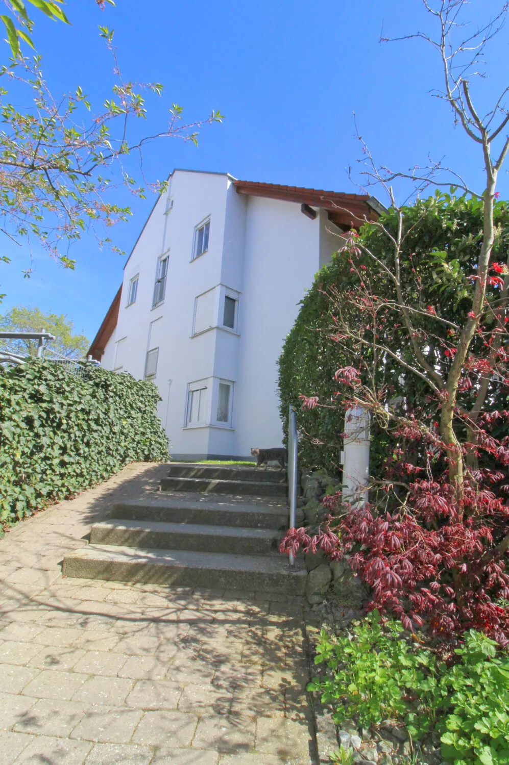 Außenansicht Bild 2