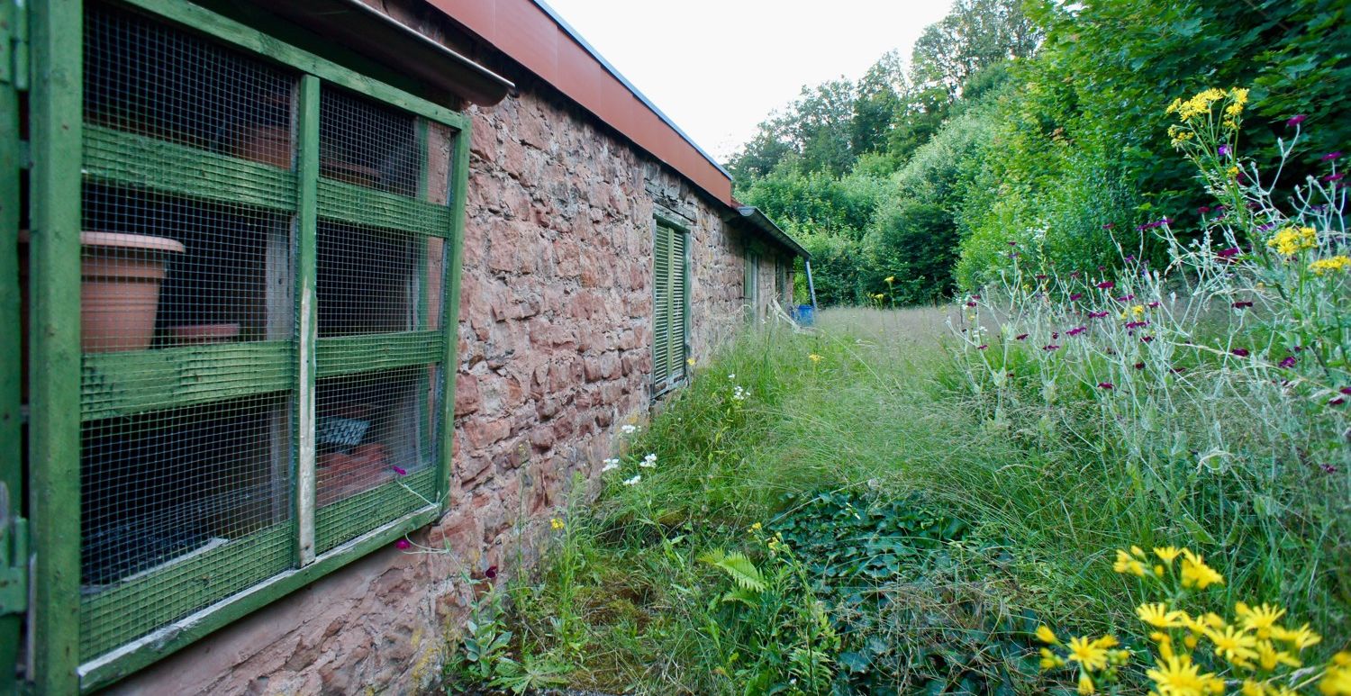 Garten