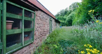 von_poll_real_estate_property_24419022_image_16