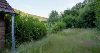 von_poll_real_estate_property_24419022_image_17