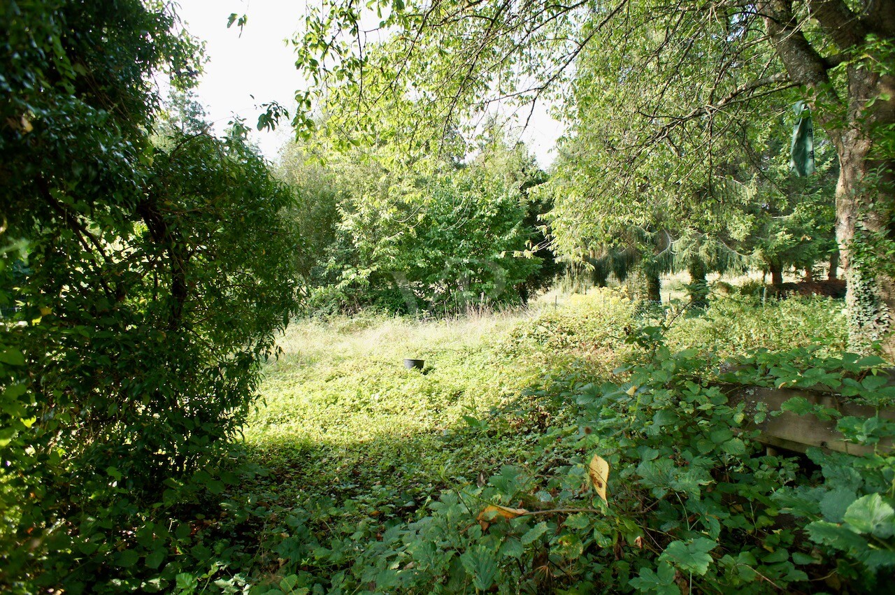 Blick in den Garten