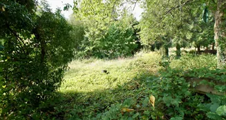 von_poll_real_estate_property_25419012_image_13