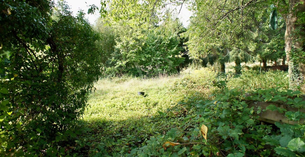 Blick in den Garten