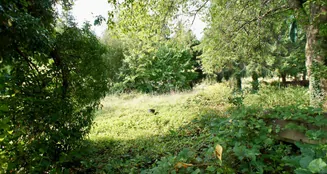 von_poll_real_estate_property_25419012_image_13