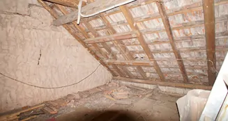 von_poll_real_estate_property_25419012_image_14