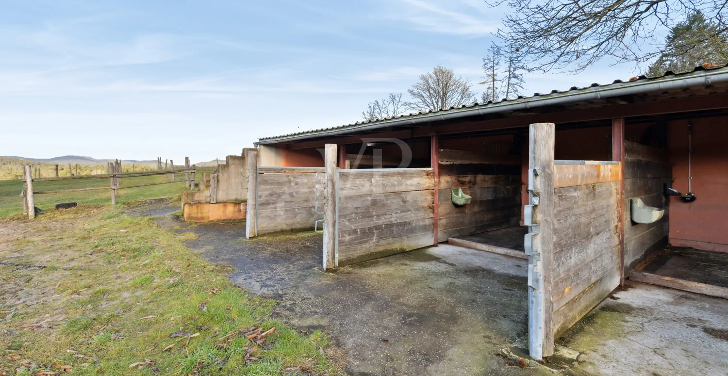 Einstellboxen mit Frischwasser