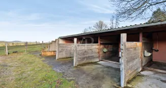 von_poll_real_estate_property_25419002_image_25