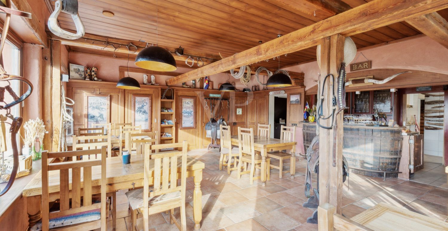 Saloon mit Theke