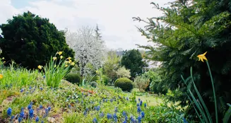 von_poll_real_estate_property_25419007_image_11