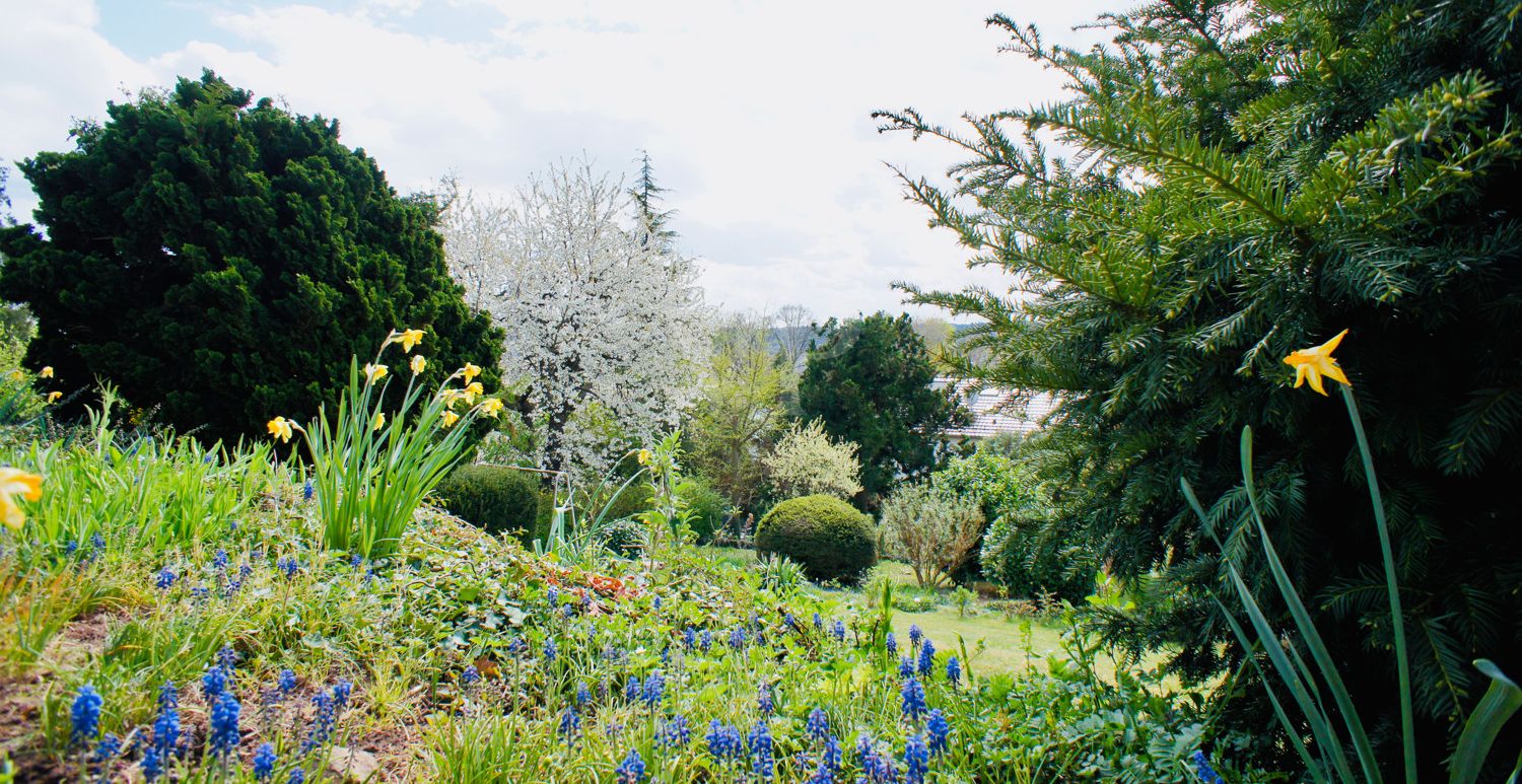 Blick in den Garten
