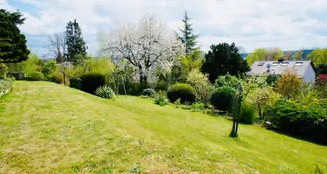 von_poll_real_estate_property_25419007_image_2