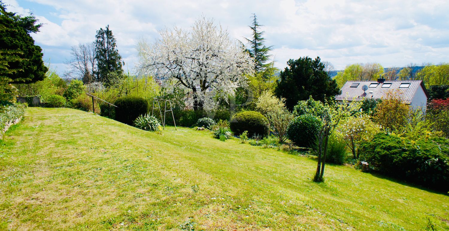 Blick in den Garten
