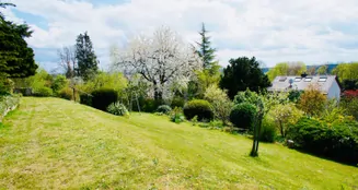 von_poll_real_estate_property_25419007_image_10