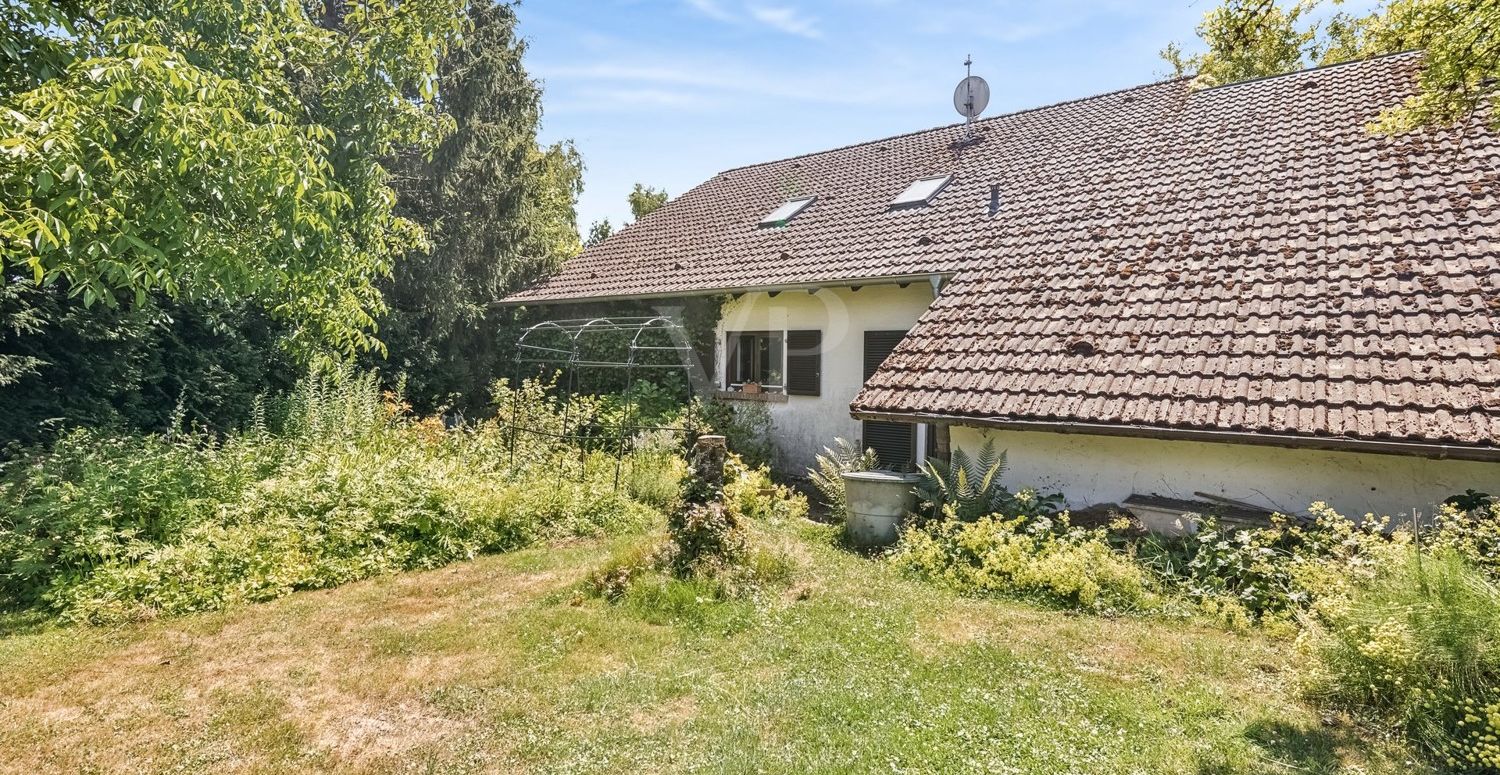 Gartenansicht