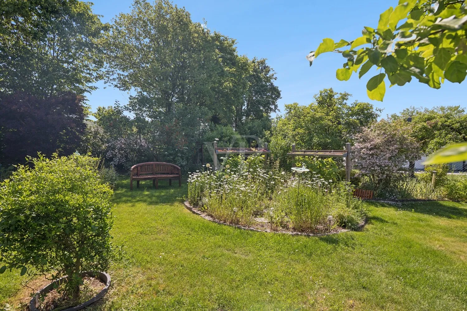 Blick in den Garten