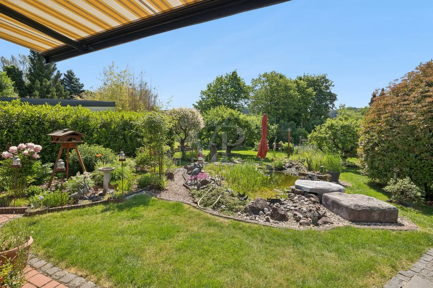 Blick in den Garten