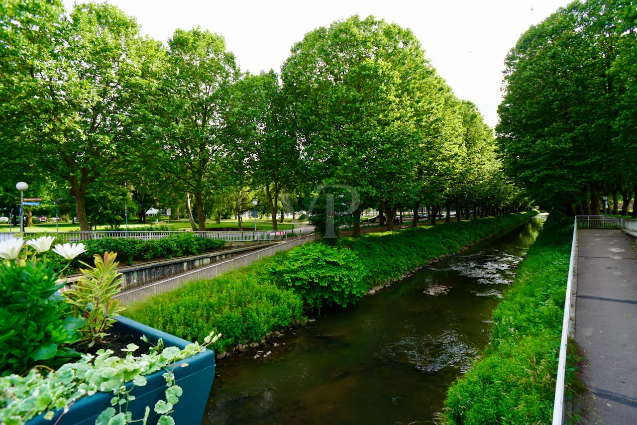 Allee direkt vor der Tür