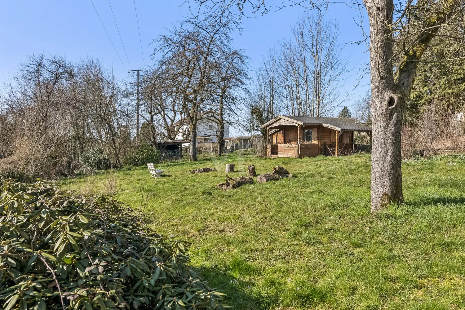Blick in den Garten