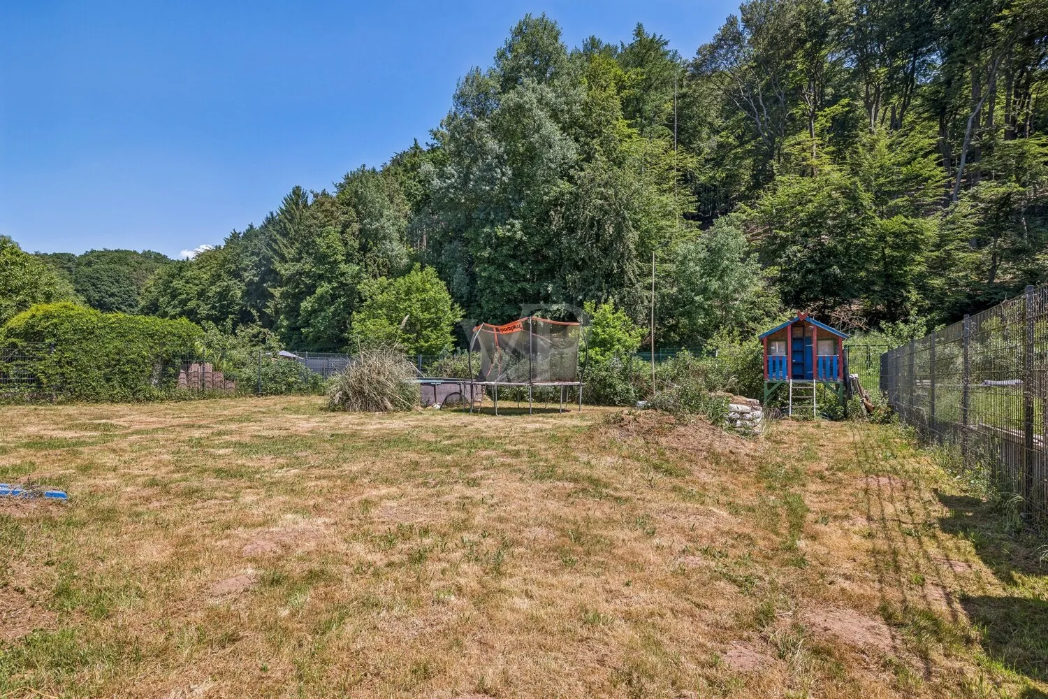 Blick in den Garten