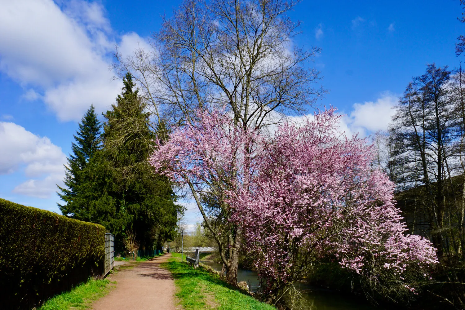 Weg hinter dem Gebäude