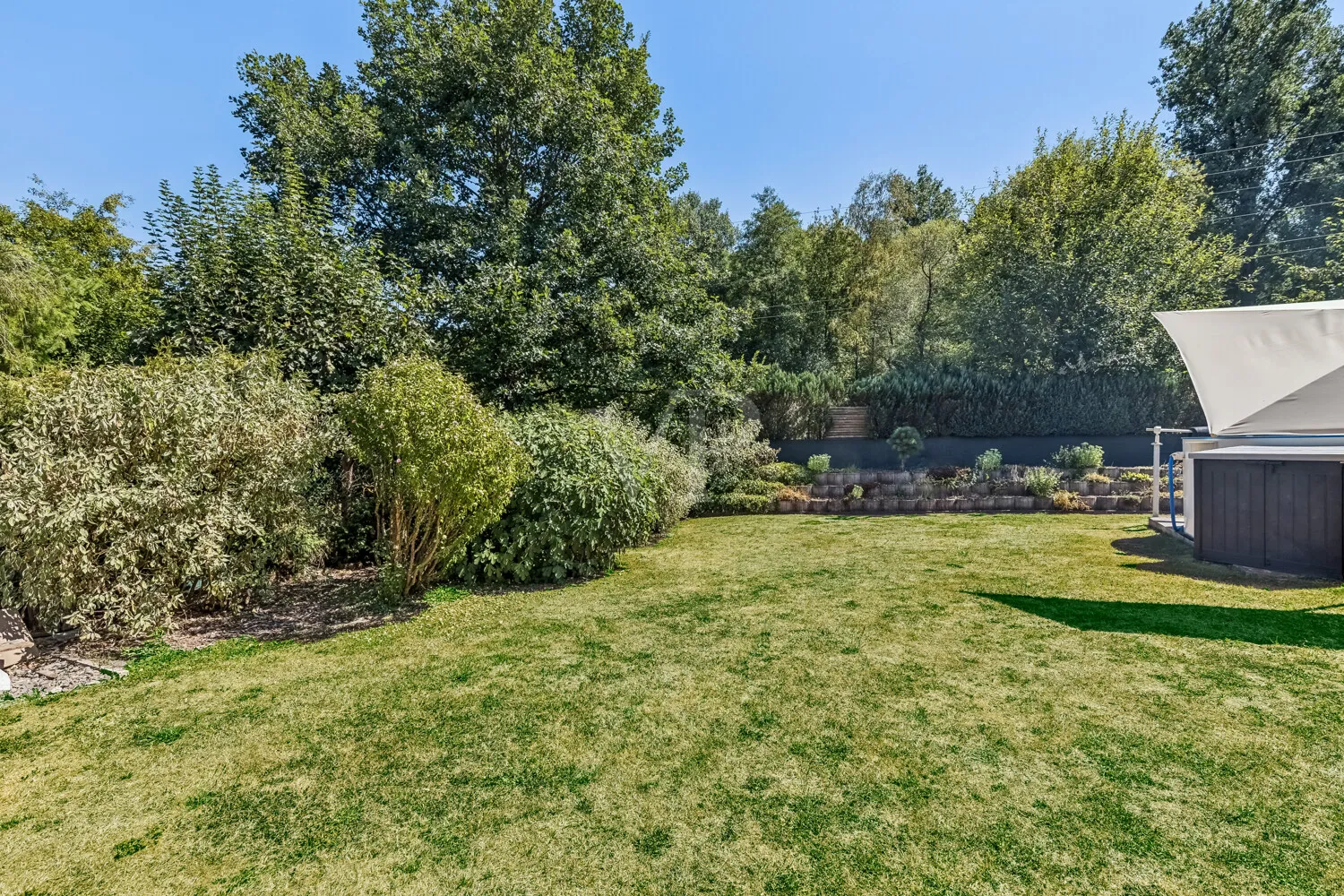 Blick in den hinteren Gartenbereich