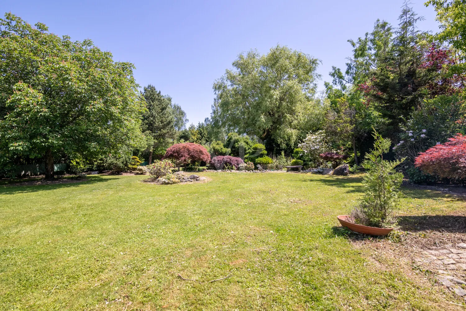 Schön angelegter Garten mit altem Baumbestand