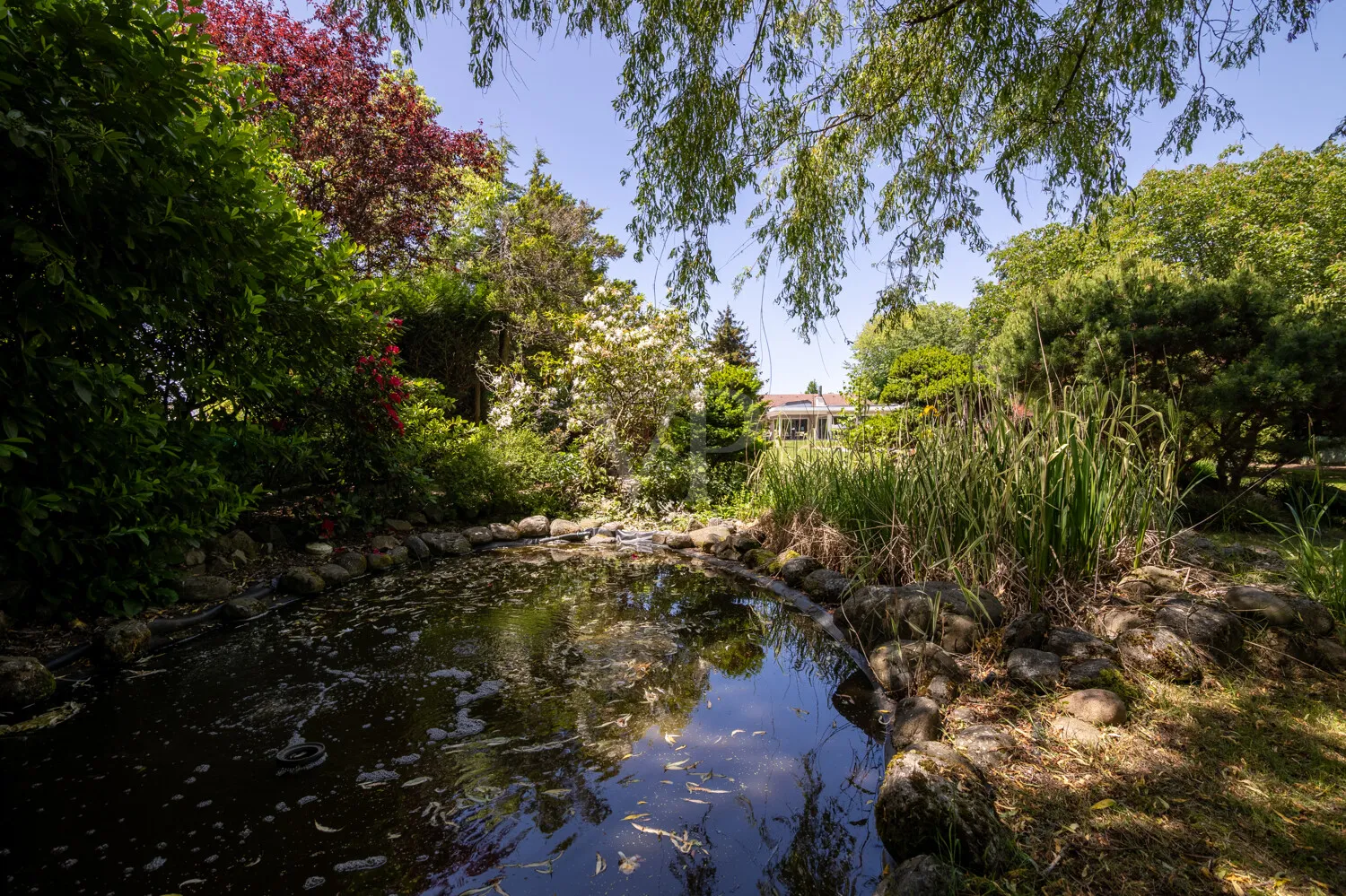 Teich in Blickrichtung Wohnhaus